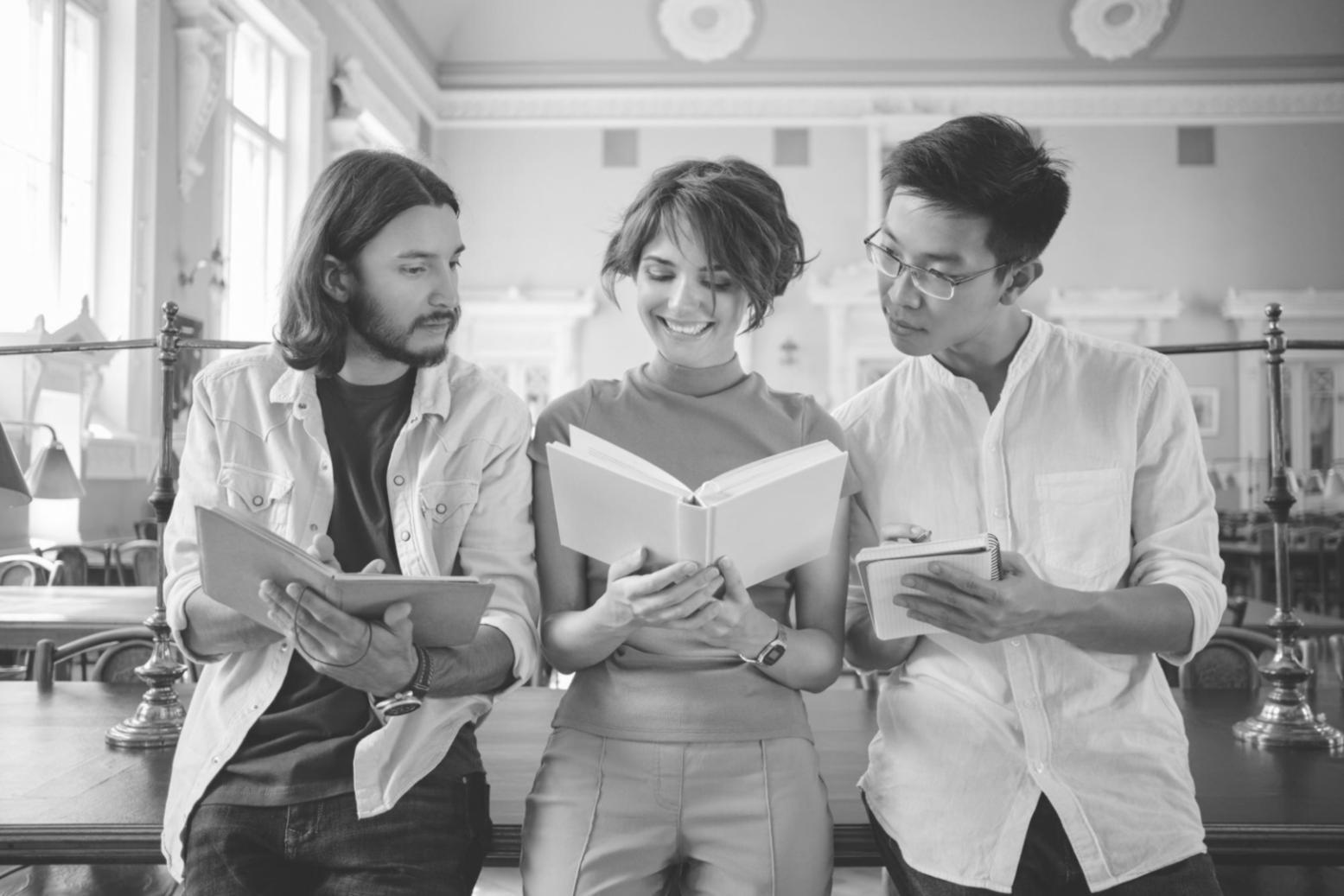 Ambiente colaborativo del equipo neraliqosent